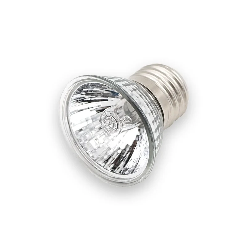 Ampoule tortue pratique et design