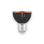 Ampoule tortue soleil