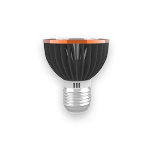 Ampoule tortue soleil