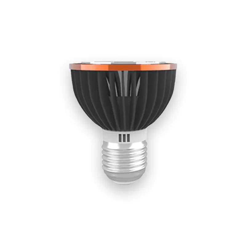 Ampoule Tortue Soleil