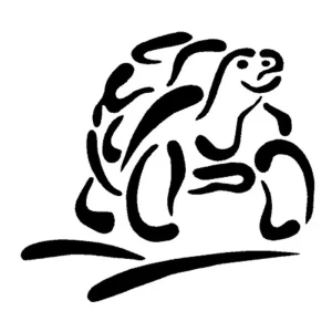 Sticker Tortue Vitre - Tortue de Terre
