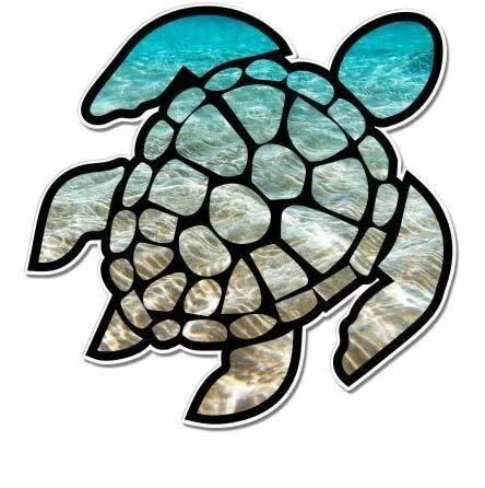 Sticker Moto Tortue Dégradé