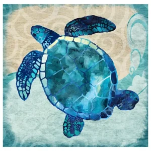 Poster Tortue Aquarelle - Old Style