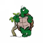 Sticker Tortue Voiture - Relax
