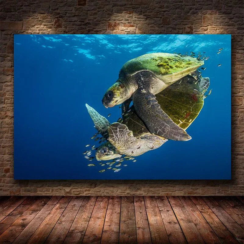 Affiche Tortue de Mer en Décoration