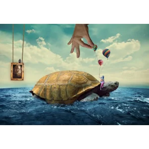 Poster Tortue - Minimal World