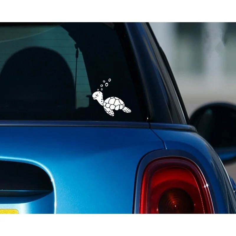 Sticker Tortue 'P'tites Bulles' sur fond coloré