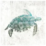 Poster Tortue - Urban