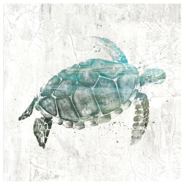 Poster Tortue Urban