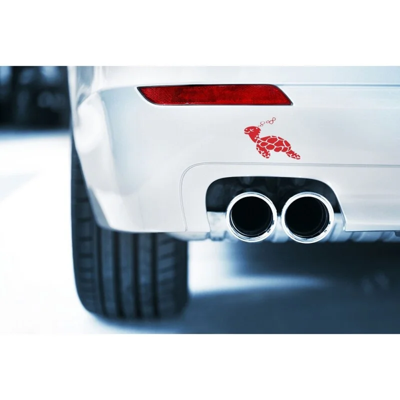 Sticker Tortue sur voiture