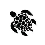Sticker Tortue Pour Voiture