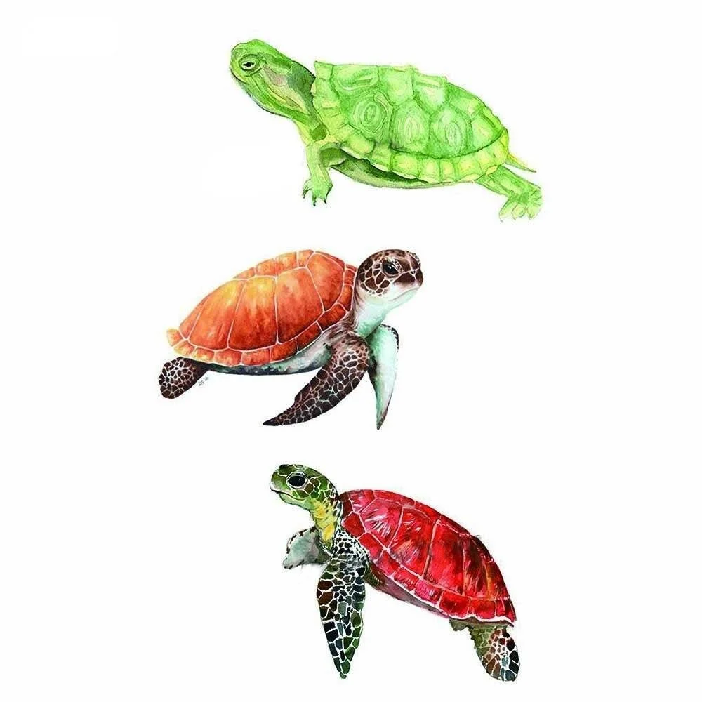 Tatouage Temporaire Tortue de Mer