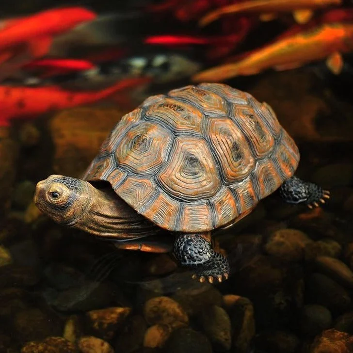 Figurine Tortue Jardin - Chelonia en extérieur