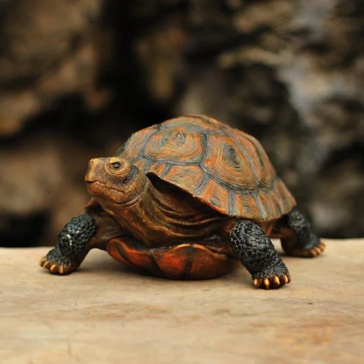 Figurine Tortue Jardin - Chelonia dans un jardin