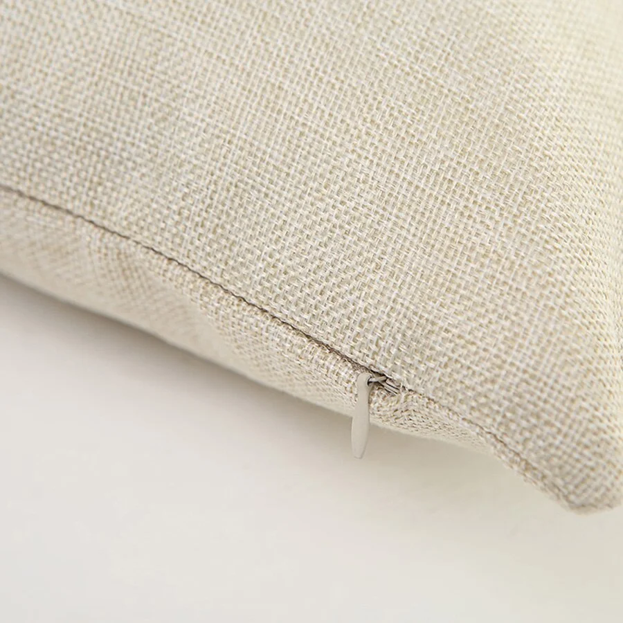 Housse de Coussin Tortue Éclaboussure