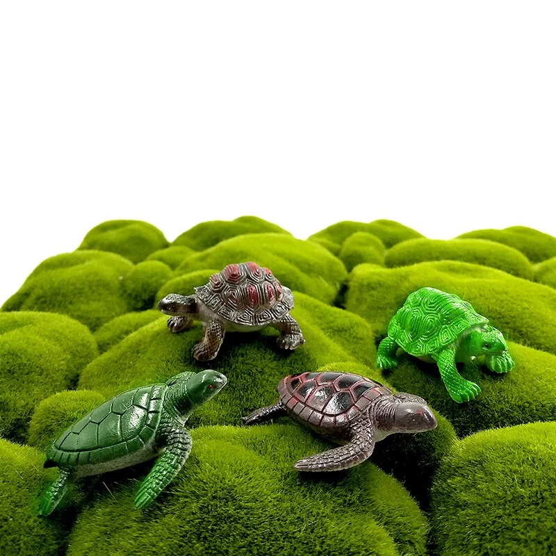 Figurine Tortue - Espèces (12 pcs) – Image 6