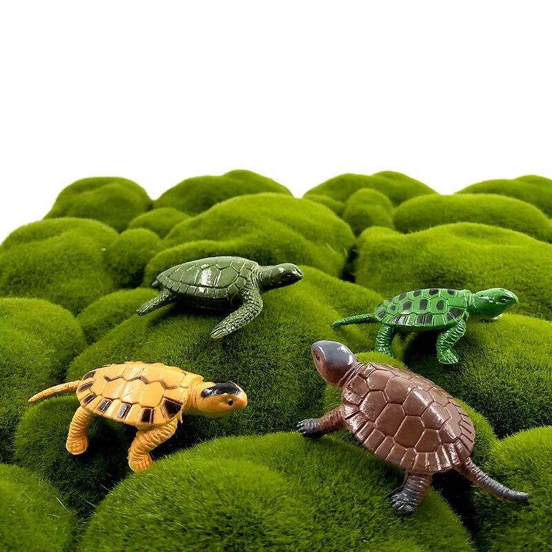 Figurine Tortue - Espèces (12 pcs) – Image 5
