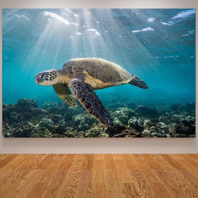 Poster Tortue Marine - SunLight