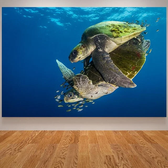 Duo de Tortues de Mer