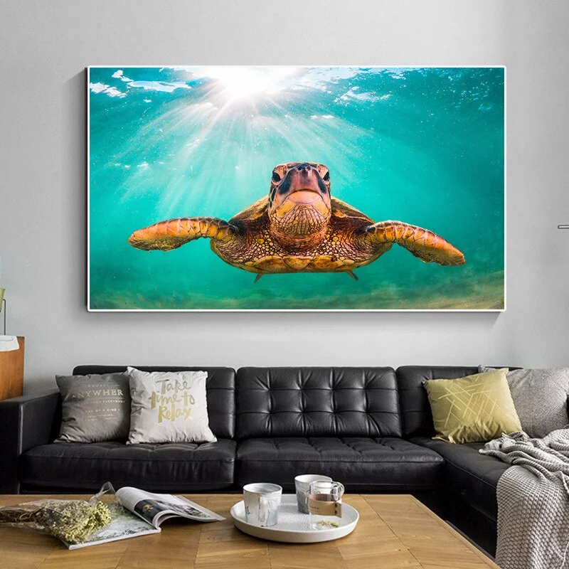 Affiche Tortue de Mer - Turquoise – Image 5