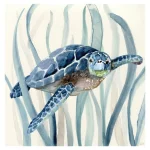 Poster Tortue - Peinture