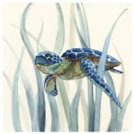 Poster Tortue - Plantes