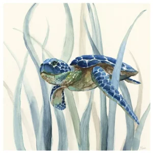 Poster Tortue - Plantes