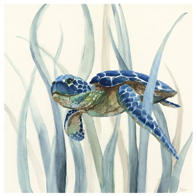 Poster Tortue Plantes