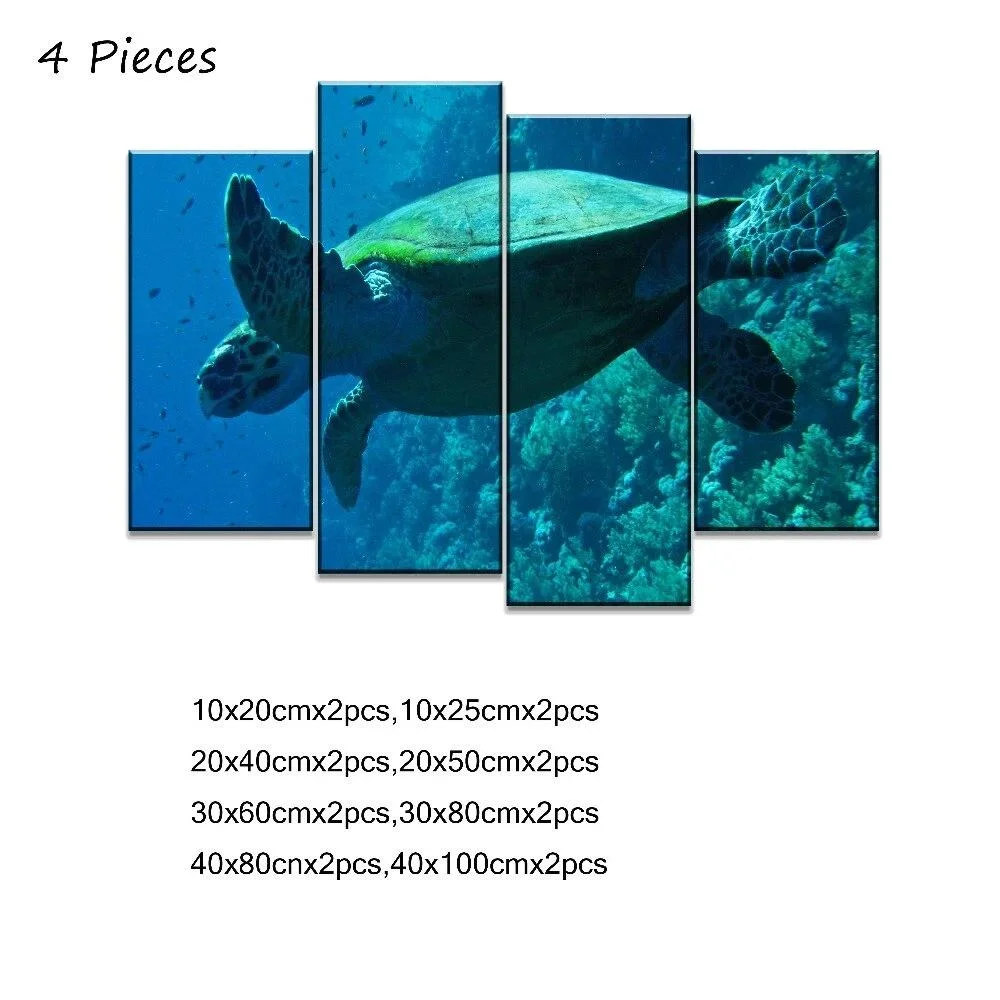 Tableau décoratif tortue