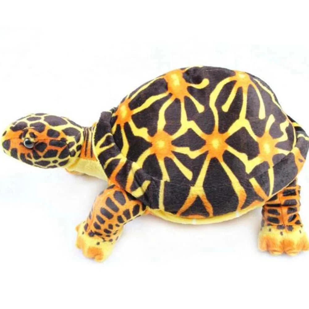 Peluche Tortue de Terre