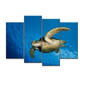 Tableau de Tortue Marine - Plongée Calme