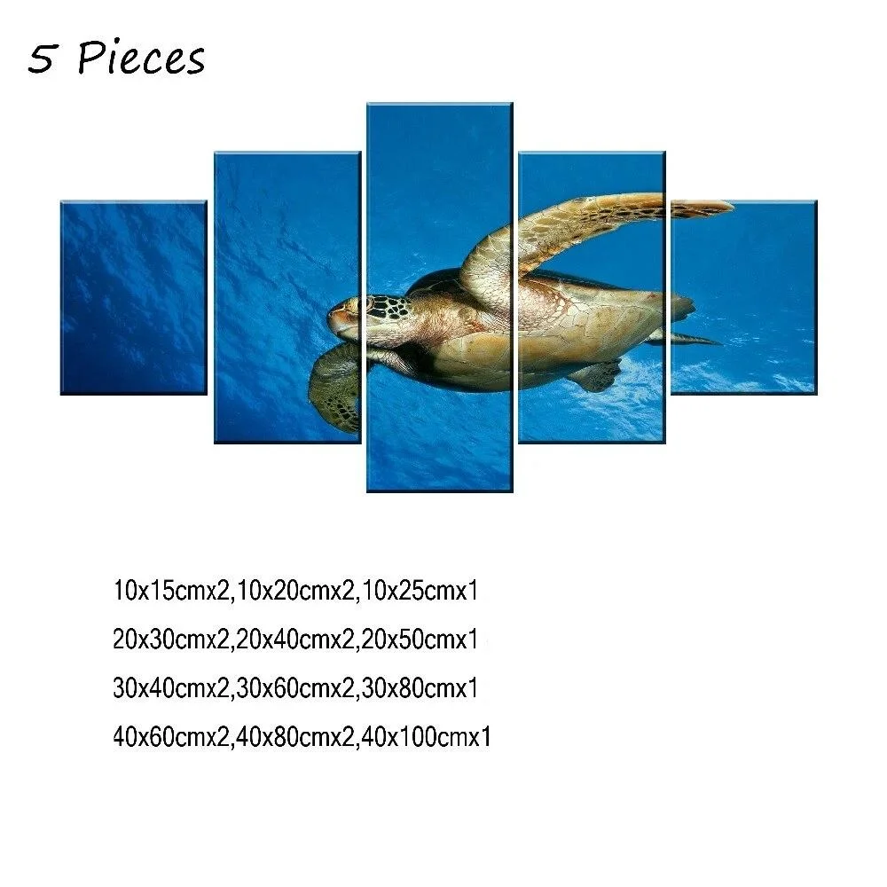 Tableau Tortue en Décoration