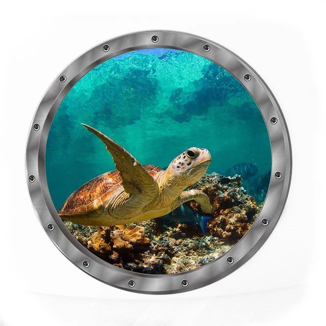 Sticker Tortue Effet Hublot