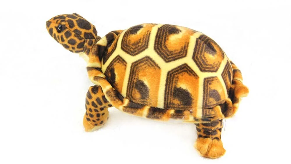 Peluche Tortue Léopard