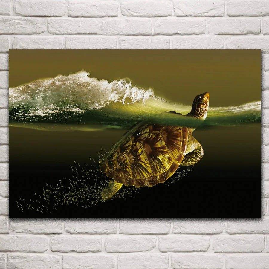 Tableau Tortue Slow-Time