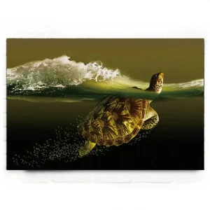 Tableau Tortue - Slow-Time