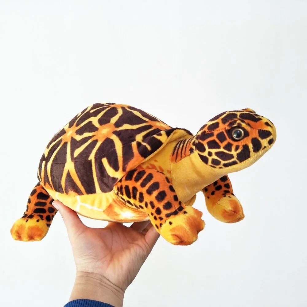 Peluche Tortue de Terre - 39 cm – Image 3