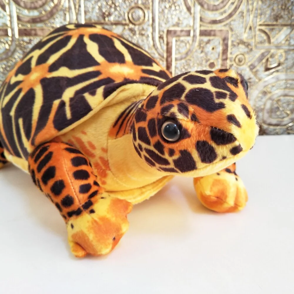 Peluche Tortue de Terre