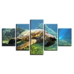 Tableau Tortue - La Doyenne