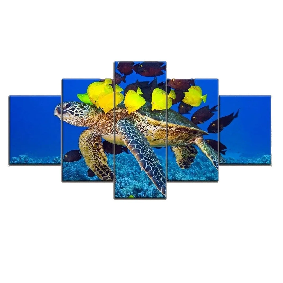 Tableau Tortue Calinades