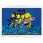 Tableau Tortue - Calinades