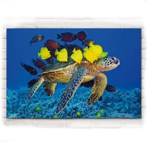 Tableau Tortue - Calinades