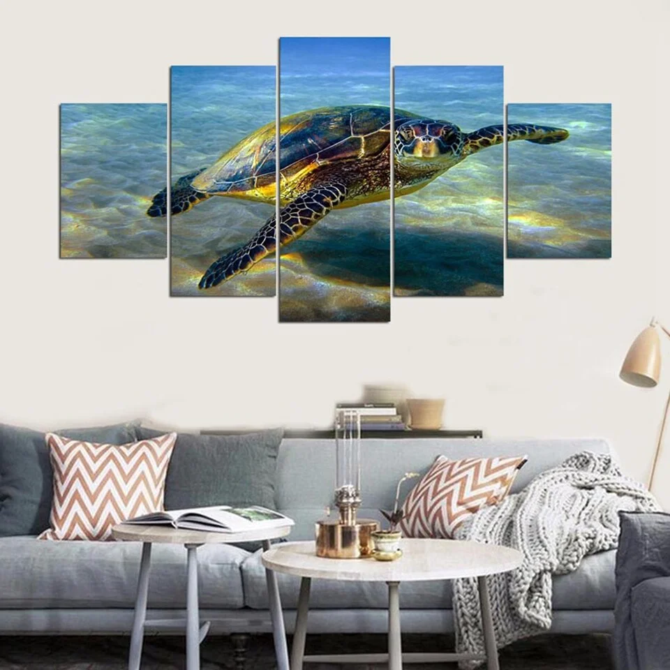 Tableau Tortue - Observation