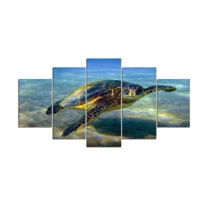 Tableau Tortue - Observation