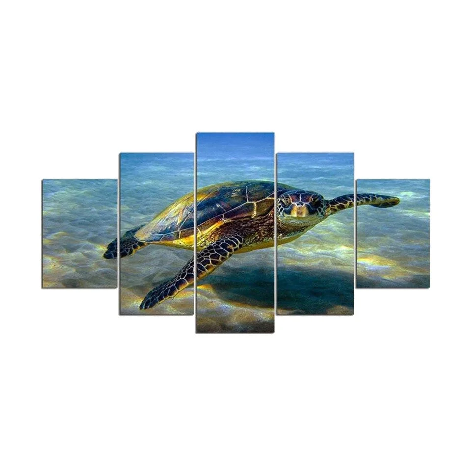 Tableau Tortue - Observation