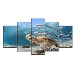 Tableau Tortue - Harem
