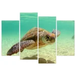 Tableau Tortue - Paradise