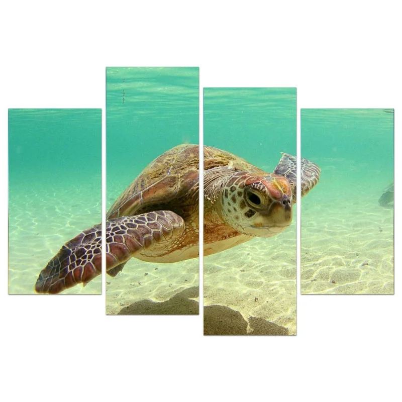 Tableau Tortue Paradise - Vue de près