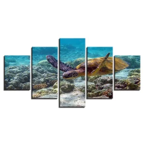 Tableau Tortue - Exploration