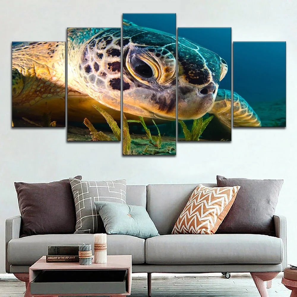Détails du Tableau Tortue